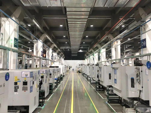 博士去當建筑工,你是認真的嗎