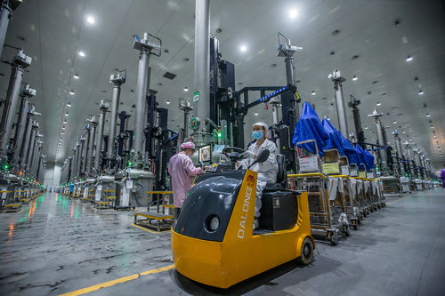 三年產(chǎn)值增長(zhǎng)10倍 中國(guó)綠色硅谷強(qiáng)勢(shì)崛起丨新型工業(yè)化市州行樂(lè)山